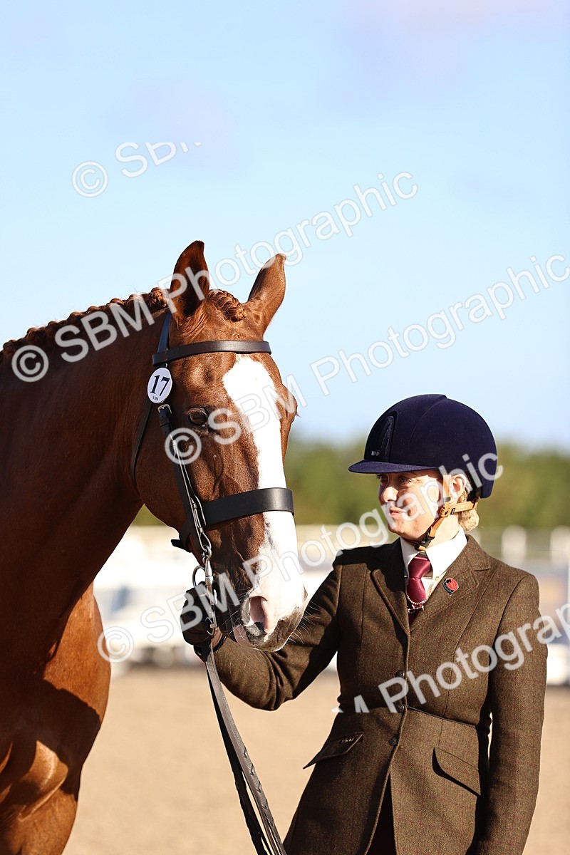 SBM_08352 - Class 401 - IH Veteran Horse