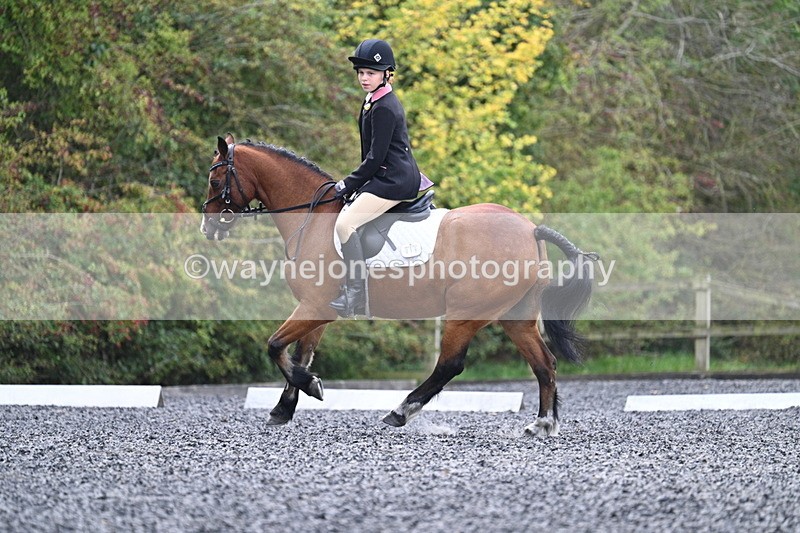 WJ7_3994 - Time 11:04 to 11:38