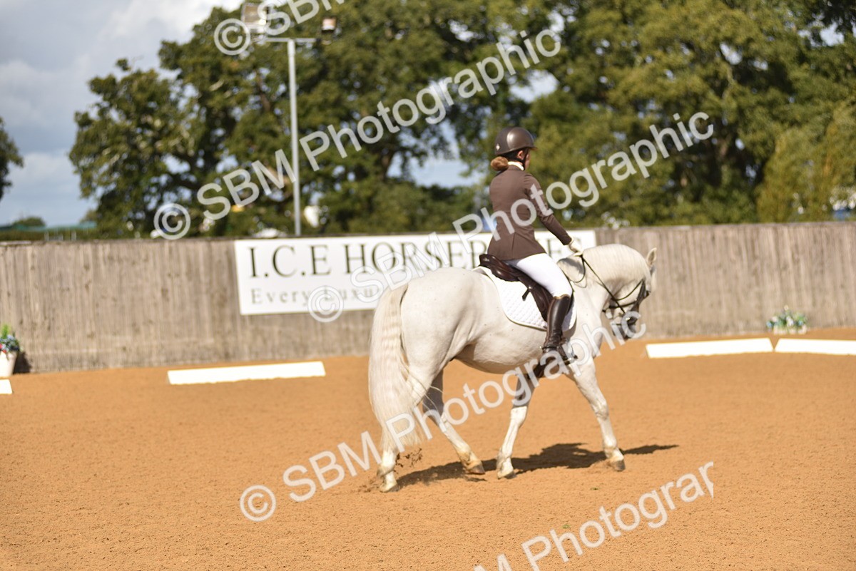SBM_02998 - D4 - Small Tour Championship Intro 4