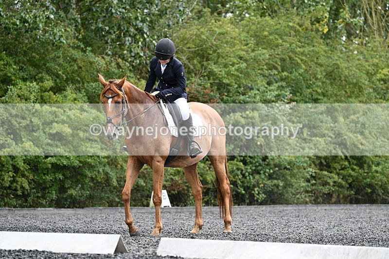 WJ7_7163 - Time 12:53 to 13:18