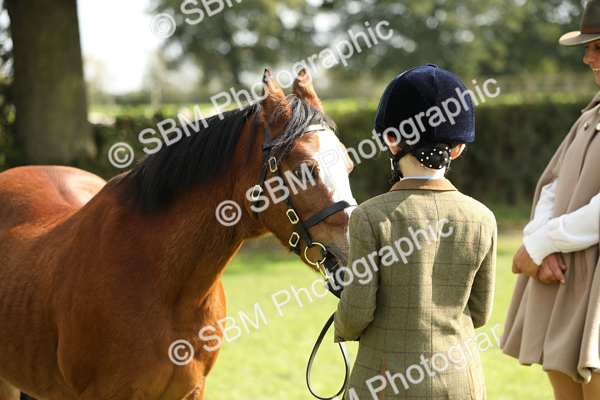 SBM_67771 - S39 - Junior Handler 8  Years & Under