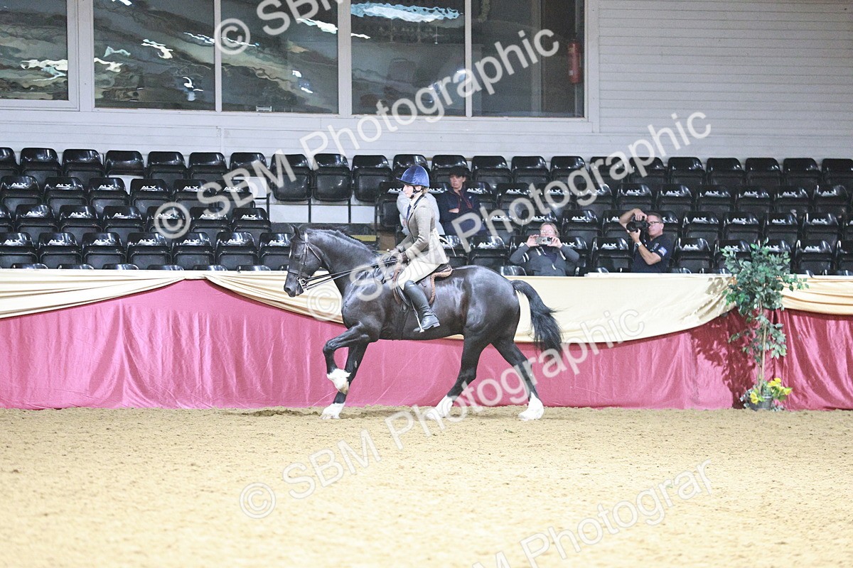 SBM_03501 - Class 6A Area Ridden Pre-Vet