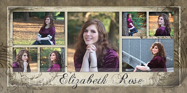 20x10_ElizabethCollage - WilliamandLiz