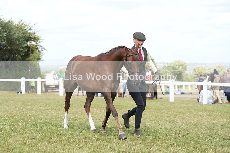 DSC07451 - Class 70: NPS SHP 4 years and over