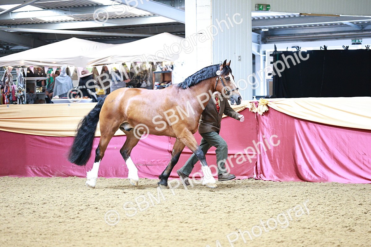 SBM_01151 - Class 3A - Area IH Pre-Vet