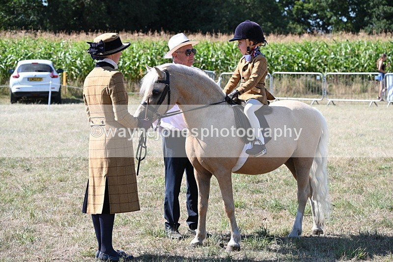 WJ6_8035 - Class 36 Lead Rein