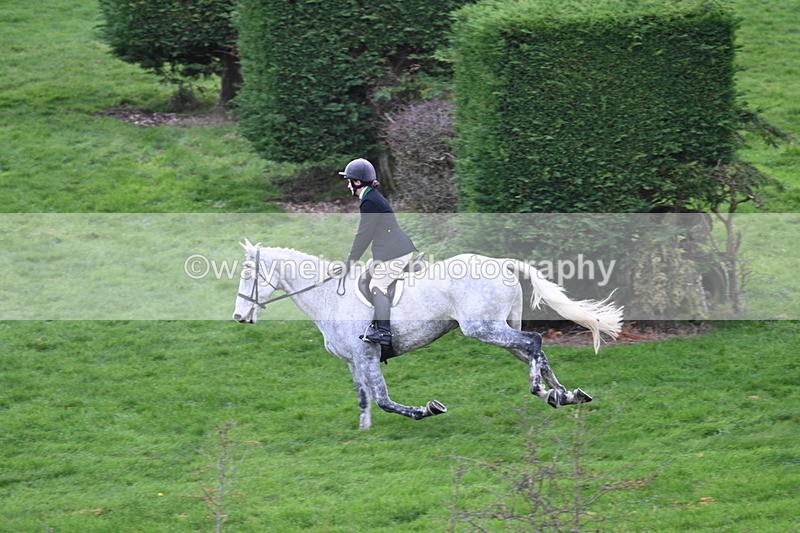 WJ7_9851 - Camera A