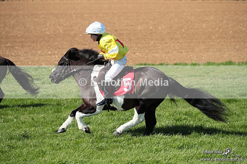 Shet 060426 204 - Shetland Pony Racing Paxford Races Easter Mon 06/04/26