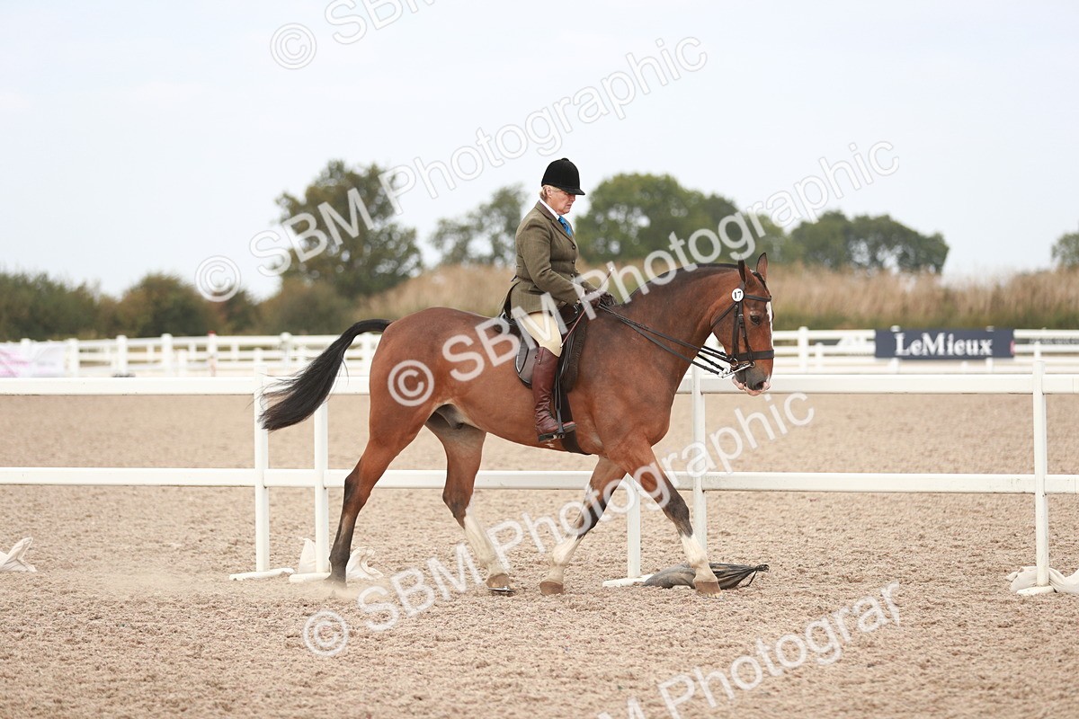 SBM_16606 - Class 214 Ridden Cob