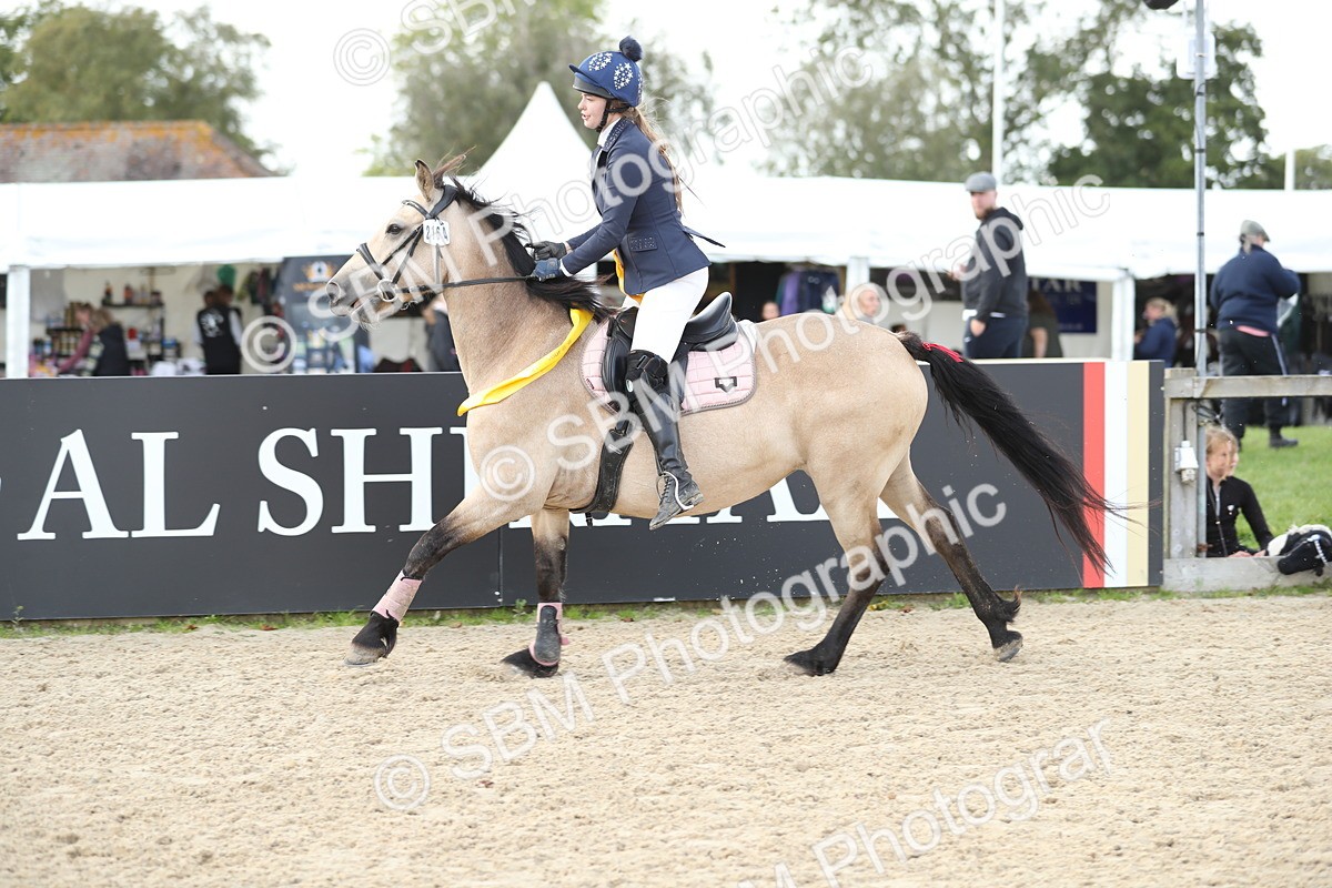 SBM_06572 - J29 - Senior Horse & Pony 65cm Championship