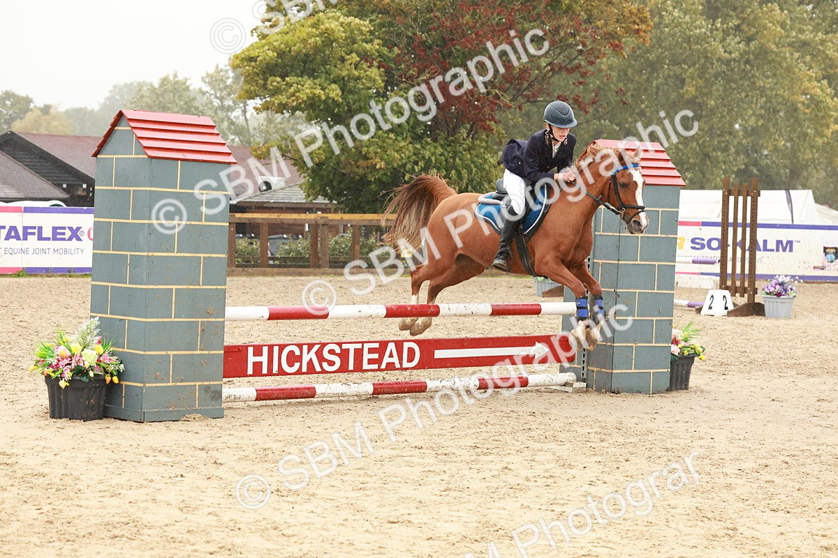 SBM_73366 - Supreme Championship Junior Pony 60cm & 65cm