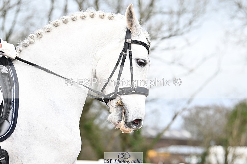 240218A-131049-07568 - 120-PAULA.LEE-Deseado.Santo