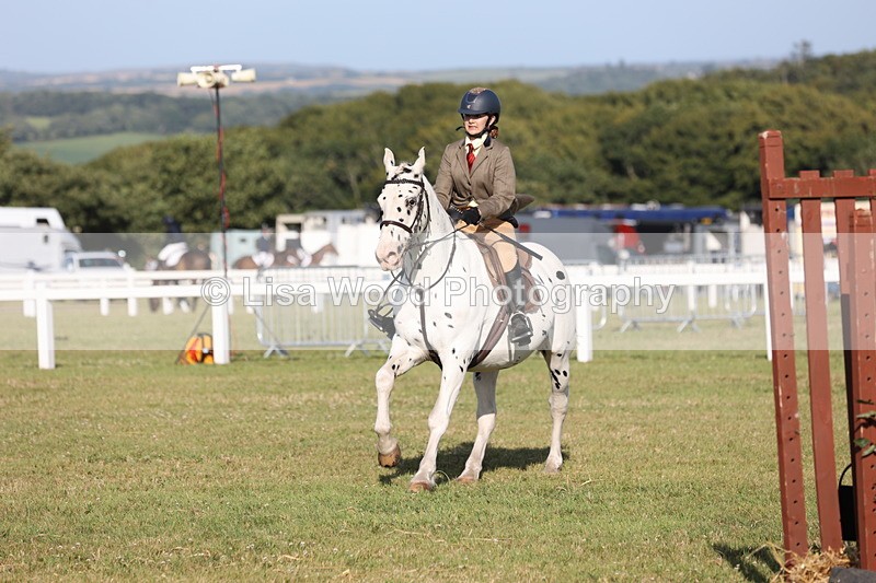 JPP_3161 - Class 21: Working Hunter 80cm