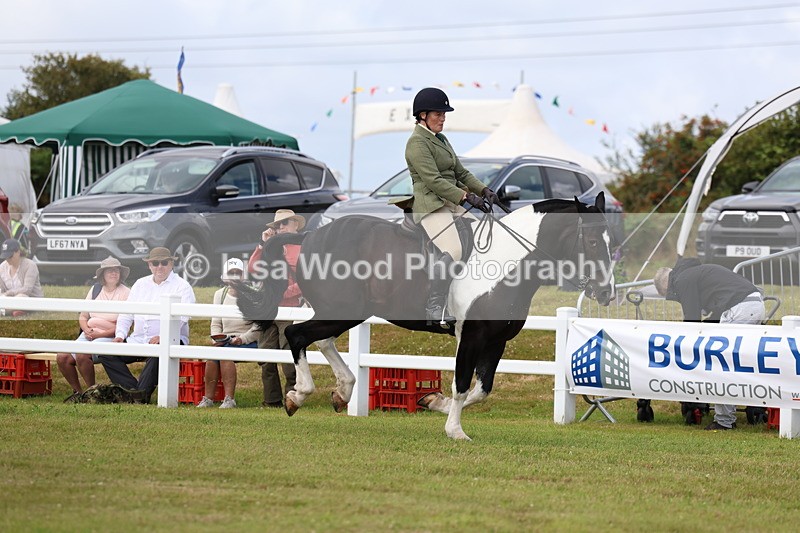 3E7A0334 - Class 6: Rising Star Maxi Cobs