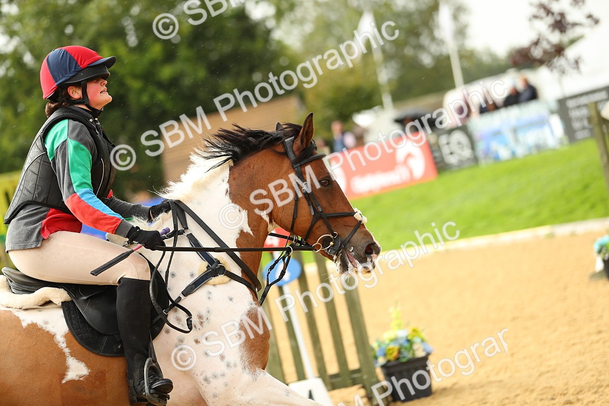 SBM_11386 - E8 Eventers Challenge 80cm Championship