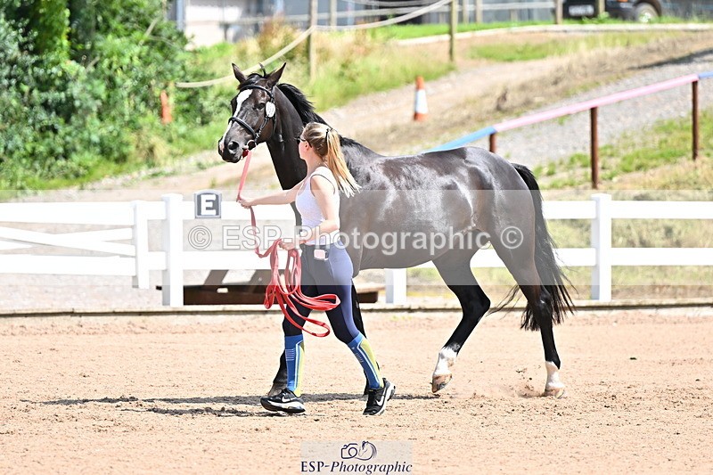 240718A-105242-01059 - Trot Up 11am to 12pm