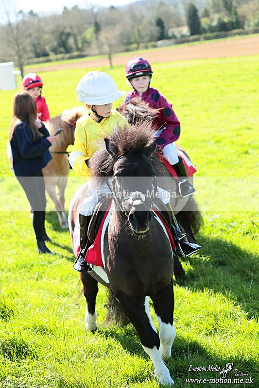 Shet 060426 239 - Shetland Pony Racing Paxford Races Easter Mon 06/04/26