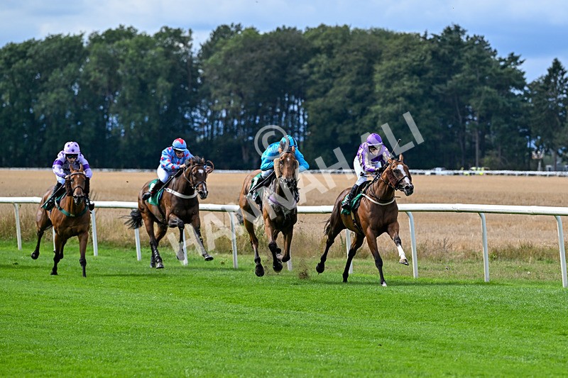 280826-Race 1-Hatamoto-4167 - Race 1 2.13pm AJA Novice Flat Amateur Jockeys' Handicap