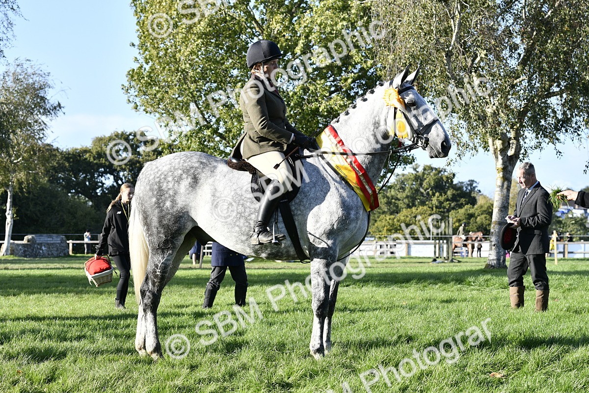SBM_51734 - Working Hunter Supreme Championship