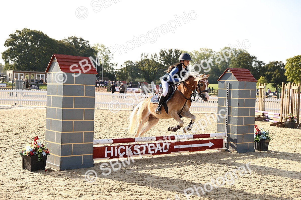 SBM_59623 - J11 - Junior Pony 50cm Championship