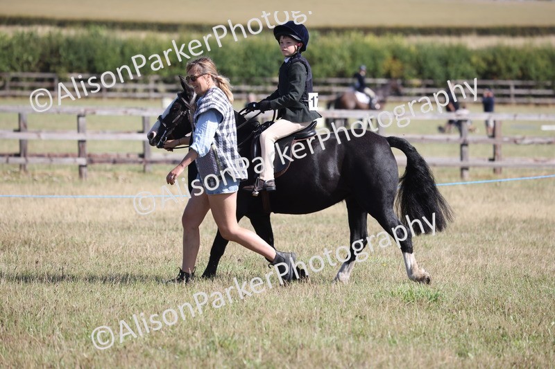 20260906-2200 - Class 16 - Family Pony