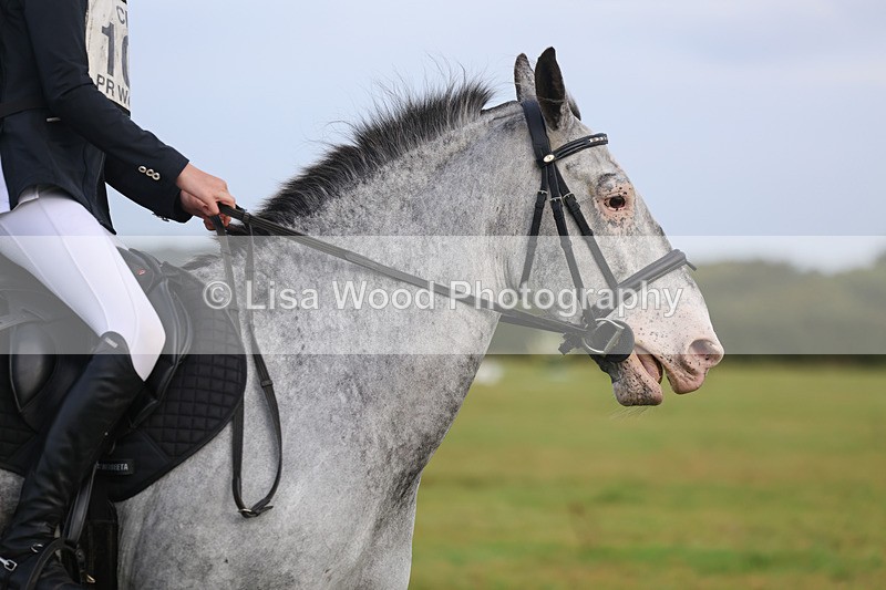 3E7A5157 - Class 1: Trebudannon Open: Dressage