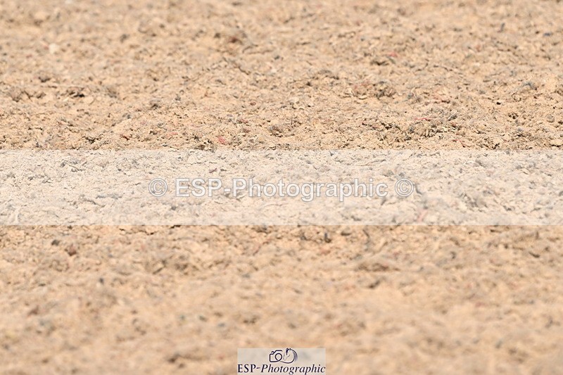240509A-102745-00877 - Cls 8 Foxhunter