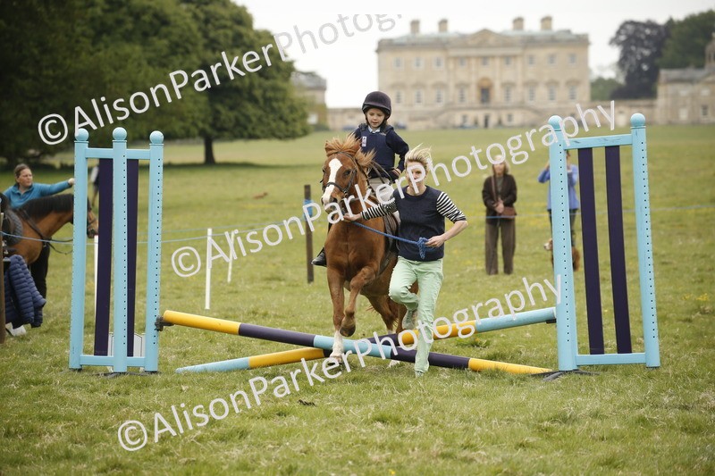 20250517-0235 - Class 1 - 30cm On Lead Rein