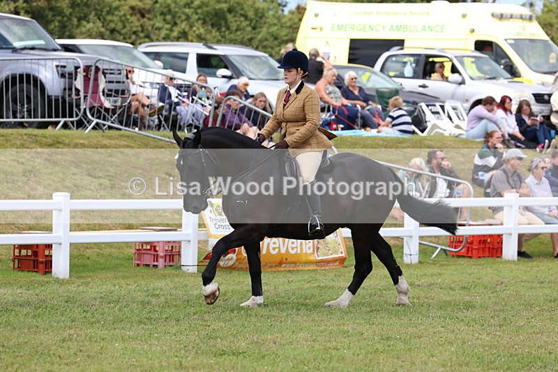 3E7A2003 - Class 10: Open Cob