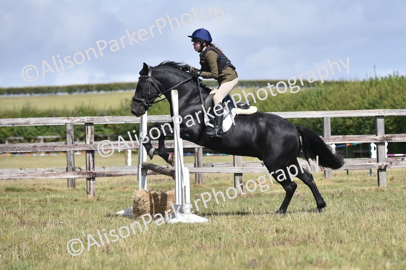 20250831-3985 - Class 12 - Working Hunter Pony 14.2hh and Under