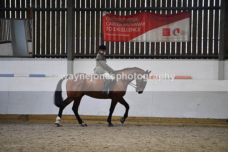 WJ5_8896 - Class 15 Ridden Show Horse