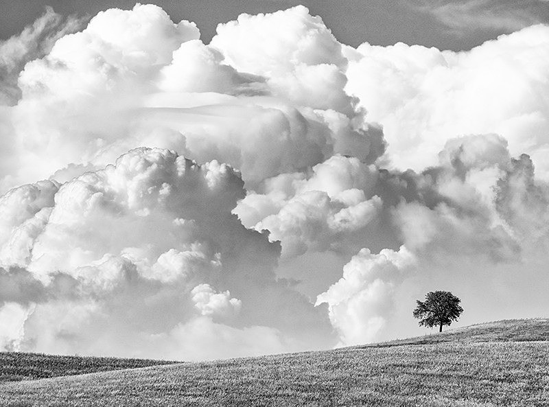  - Black & White