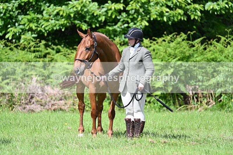 WJ7_1065 - Class 11 Condition & Turnout