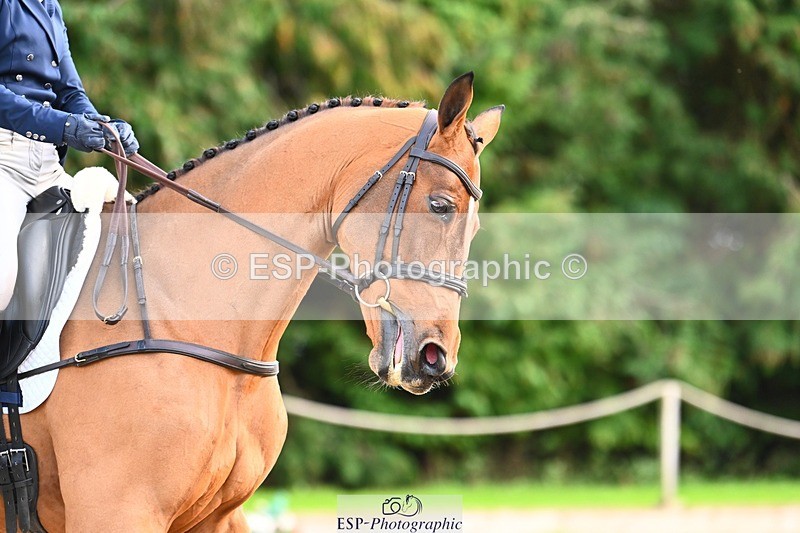 231021-143435-18738 - 241-HILDARE.HERMITAGE-Danielle.Mccormack-DR