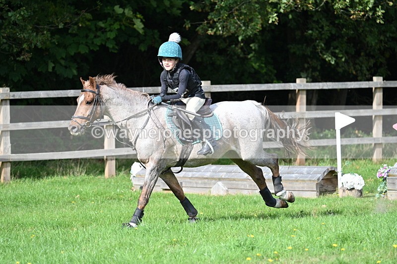 WJ7_5037 - 60cm Time 11:11 to 11:19