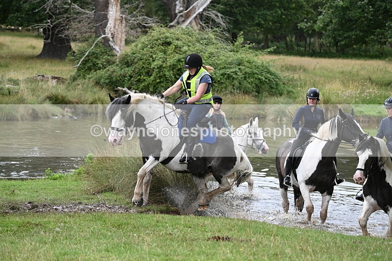 WJ7_3011 - Time at Water 11:37 to 12:13