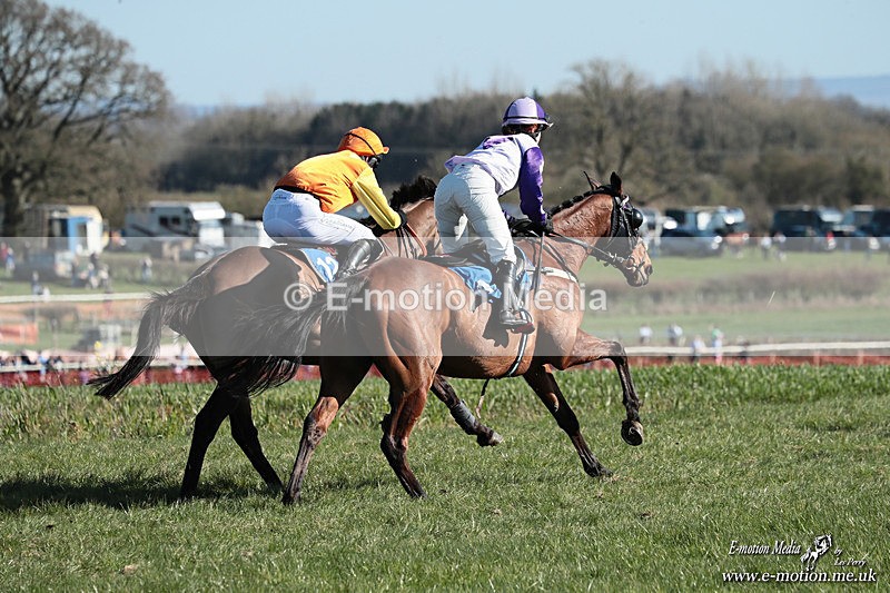 PtP 210326 544 - VWH Cirencester Races 21/03/26