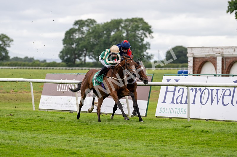 030724-Race 2-The Crafty Mole-0512 - Race 2