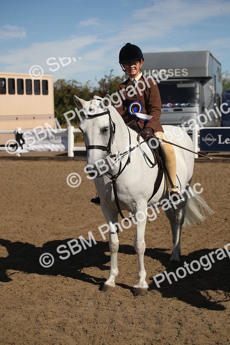 SBM_12781 - Class 504b - Junior Working Veteran - 40cm (20+)