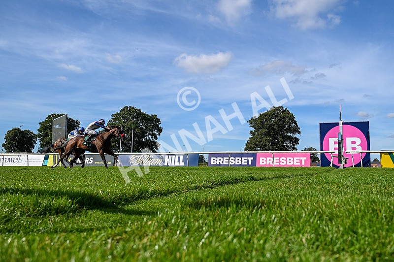 160924-Race 3-Moostar-5083 - Race 3