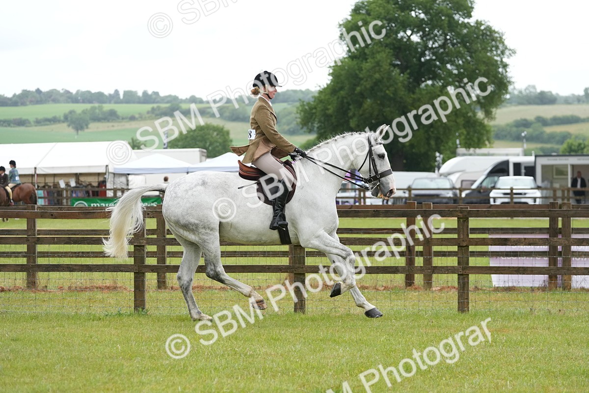 SBM_12690 - Class 97-98 - LIHS BSHA Rising Star Working Show Horse Hunter