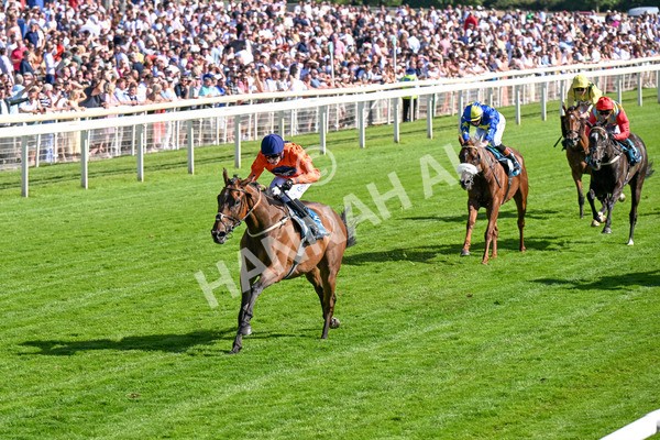 120725-Race 6-Terrorise-0498 - Race 6 4.45pm John Smith's Stayers' Handicap
