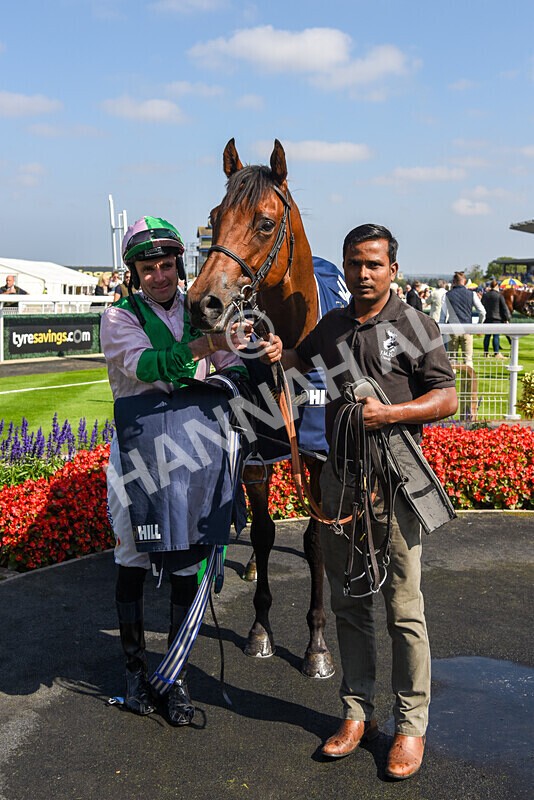 310824-Race 2-Democracy Dilemma-2676 - Race 2