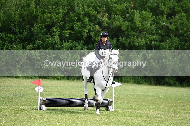 WJ6_2643 - Class 2 40cm