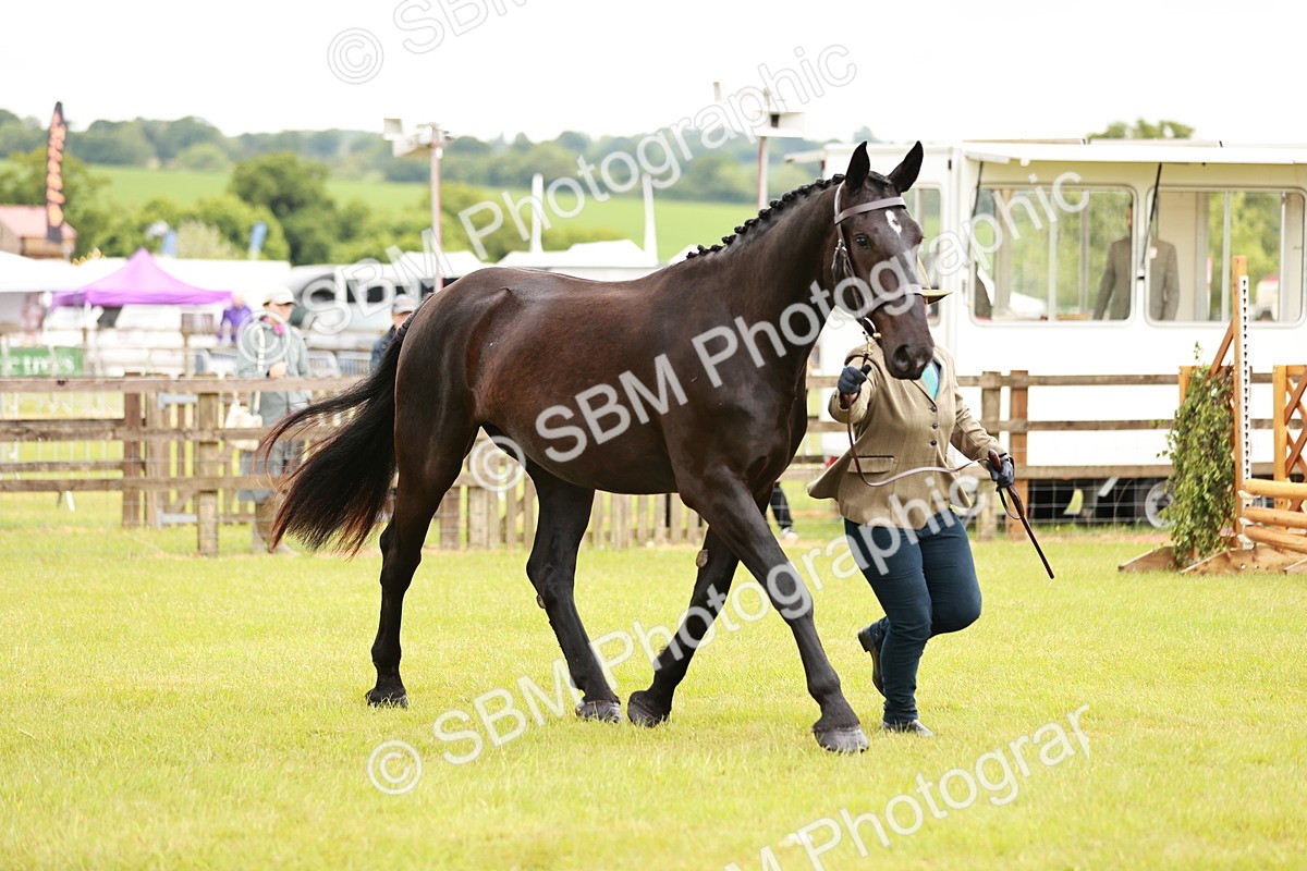 SBM_00763 - Class 26-30 Sport Horse In Hand