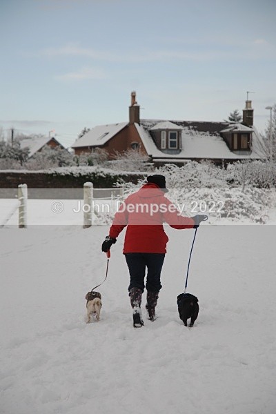 December Snow 10 - Walking the Dog