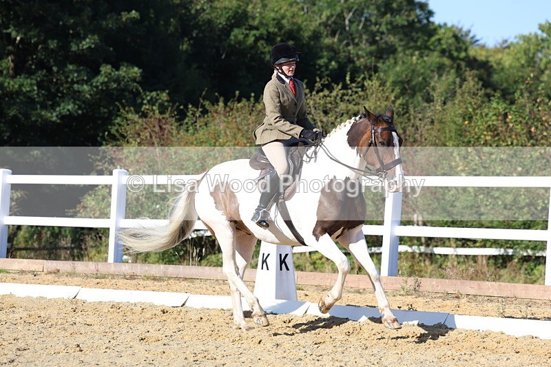 3E7A5291 - Class 8: Small Ridden Hunter