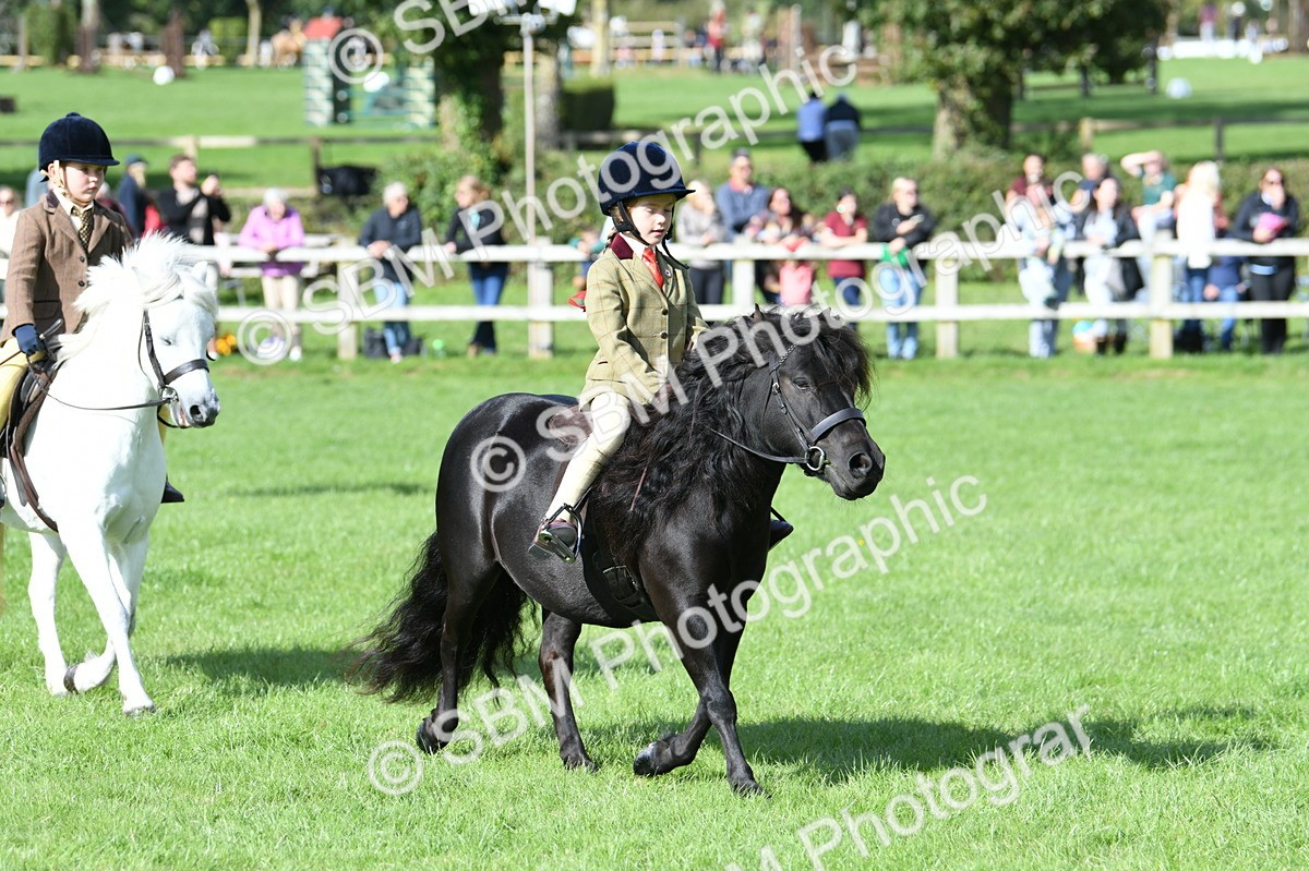 SBM_50287 - S21 - Novice & Newcomers 1st Ridden Pony
