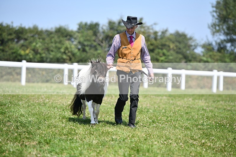 DSC_7666 - Class 64: Coloured Pony 4yrs & over