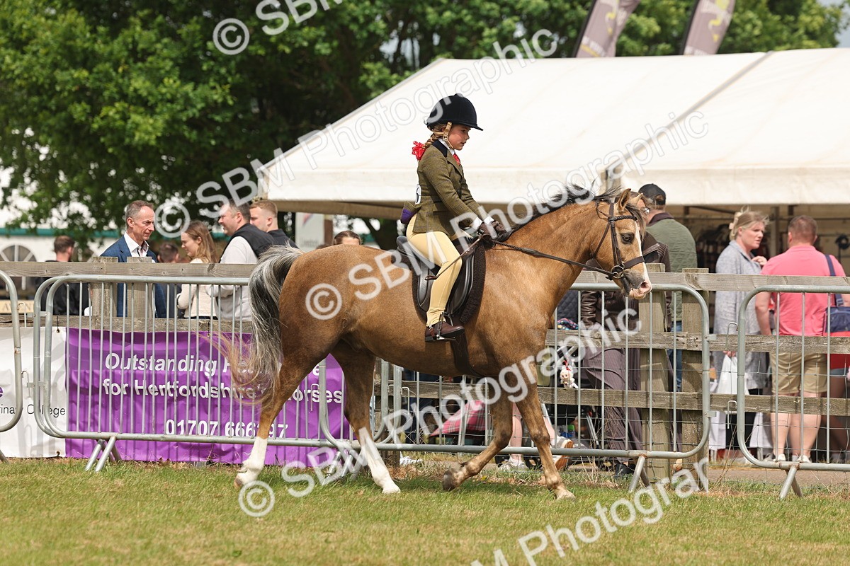 SBM_06852 - Class 74-75 - M&M Lead Rein and First Ridden Pony